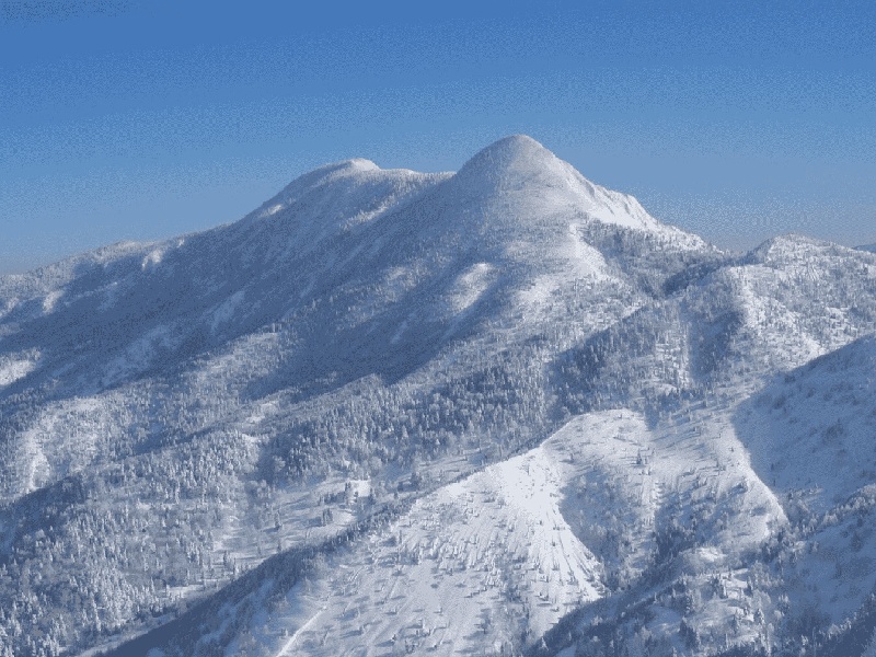 试管孙丽华试管与体重关系春节试管促排